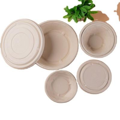 China Natural Plant Sugarcane 2500Ml Biodegradable Disposable Bagass Paper Pulp Take Way Taco Spaghetti Shallow Tray Big Covered Bowl Set for sale