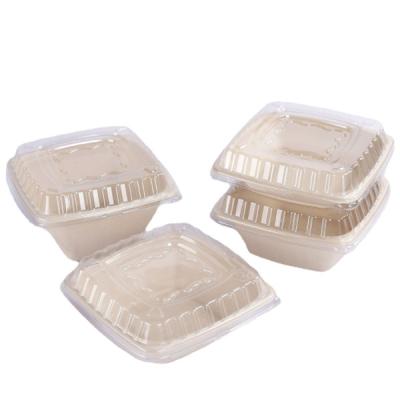 China Disposable Compostable Biodegradable Pulp Natural 32Oz Bagasse Noodle Molding Deeper Square Salad Bowl With Clear Lid for sale