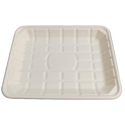 China Eco-friendly Disposable Sugarcane Bagasse Food Compostable Paper Tray, Biodegradable Disposable Fruit Tray for sale