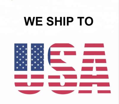 China Fast Sea Shipping DDP Service Door To Door Shipping Sea Freight China To USA Canada International logistic for sale