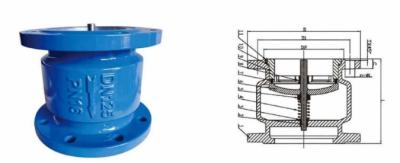 China HC41X Silencing Check Valve DN100 Flexible Opening / Closing , Horizontally / Vertically Installed for sale