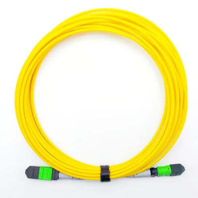 China Telecom/Multi Mode OM3 OM4 12/24f Core SM OFNP OS2 9/125 G657 MTP Fiber Optic Patch Cord Customization Data Center MPO Factory for sale