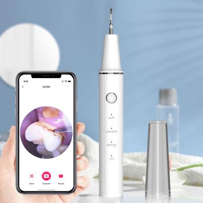 China For Home Portable Electric Visual Ultrasonic Plaque Tooth Plaque Remover Tartar Removal Dental Use Stain Remover Calculus With Camera for sale