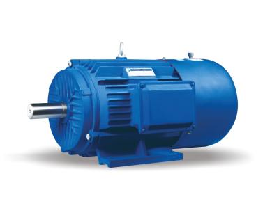 China 30KW Asynchronous Induction Motor IP55 AC Induction Explosion Proof Motor for sale