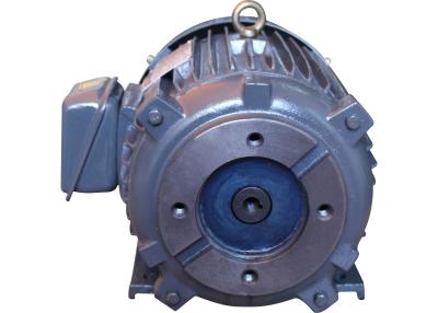 China IP68 220KW 300HP Asynchronous Electric Motor IC411 / IC416 Cooling Mode for sale