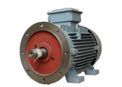 China 2 Pole 3000RPM High Speed Electric Motor Compact Structure Design BBT for sale