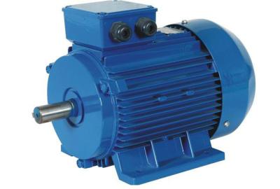 China 3 Phase Asynchronous Induction Motor 4P 1500RPM 50Hz 60Hz Variable Frequency Motor for sale