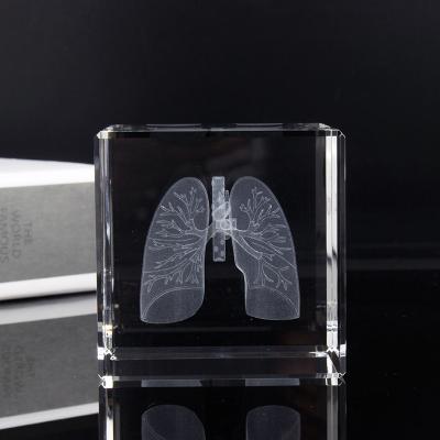 China Europe Hospital Souvenirs 60mm Crystal 3d Laser Engraved Body Parts Model K9 Crystal Cube for sale