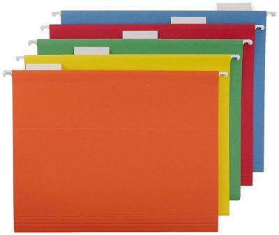 China Eco - Friendly FC 2020 A4 Size Plastic Colorful Hanging Folder With Clips for sale