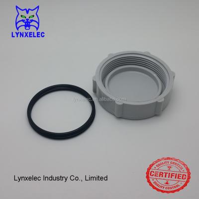 China Upvc DWV Pipe Fittings 50mm Threaded End Cap Pipe Cap for sale