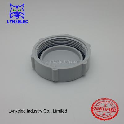 China Upvc Pipe Fittings 50mm Threaded End Cap Pipe Cap for sale