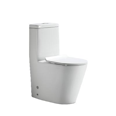 China Portable Double-flow Bathroom High Quality Ceramic Bidet Seat One Piece Toilet Price for sale