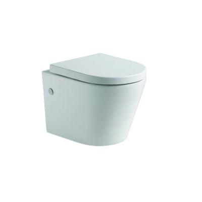 China Concealed Cistern Porcelain Ceramic Toilet WC Rimless Wall Mounted Bowl Cistern Concealed for sale