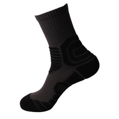 China Youth Man (Aged 18-40)/China Wholesale Price Women's Fancy Sport Hoops Basketball Sock for sale