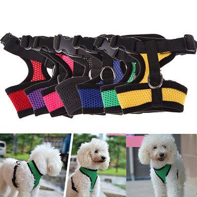 China 2022 Viable Thickened Double Layer Pet Mesh Vest Chest Strap Dog Vest With Pull Rope Buckle Pet Costume for sale