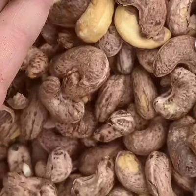 China Hot Sale Dried Premium Quality Cashew Nuts Kernels for sale