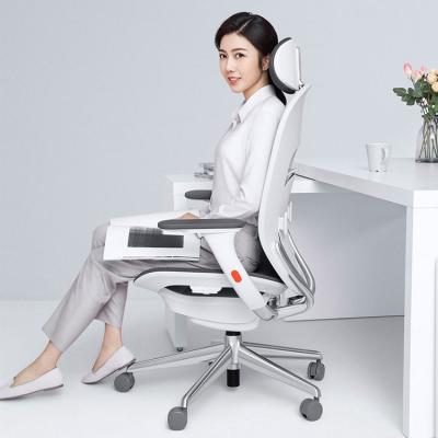 China High End Ergonomic Chair (Height Adjustable) Adjustable Office Chair for sale