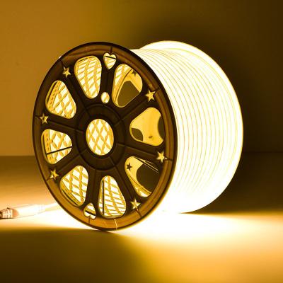 China Garden 3 Years Warranty 100M/Roll 220V High Quality Strip For Outdoor Led Strip Lights Waterproof for sale