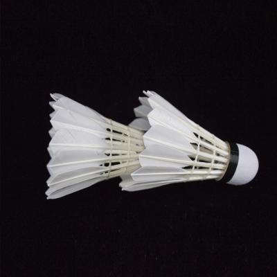 China Durable Professional Competition Duck Feather Shuttlecock Badminton With Nice Feel for sale