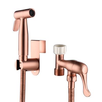 China Modern 304 Stainless Steel Easy Install Modern High Pressure Toilet Bidet Sprayer For Bathing Pets for sale