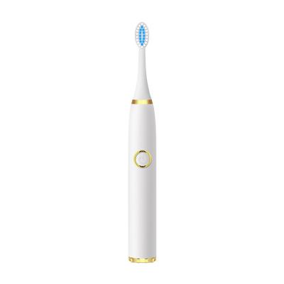 China Domestic Use+travel Factory Price 3 in 1 Sonic Electric Toothbrush Rechargeable Portable Toothbrush for sale