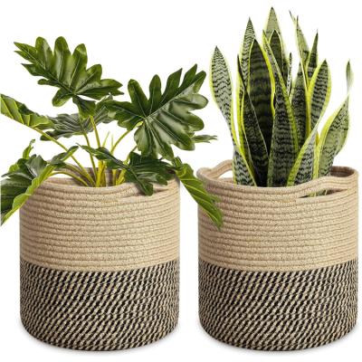 China Sustainable Plant Basket Woven Flower Basket, Multifunctional Storage Basket With Handle, Suitable For Indoor Plant Pots for sale