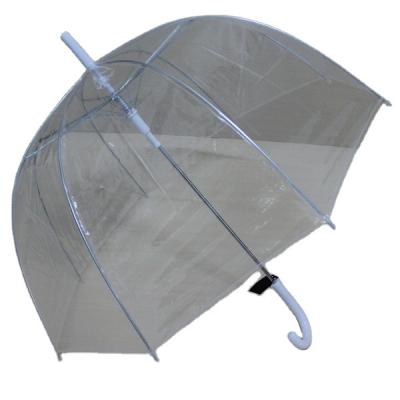 China POE Dome Novelty Automatic Straight Shape Clear Transparent Umbrella for sale