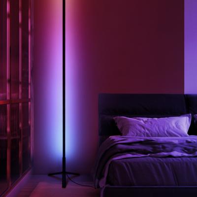 China Modern Simple Rainbow Color Bedroom RGB Corner Remote Simple Vertical Smart Home Changing Invisible Led Floor Lamp for sale