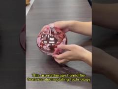 Onion Humidifier