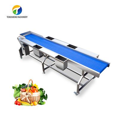 China Hotels Automatic Stainless Steel Vegetable And Fruit Sorting Orange Table Food Machine TS-GF25 for sale