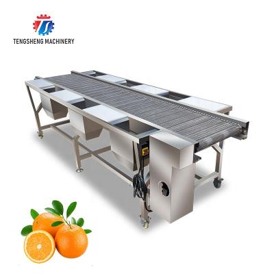 China Easy Operation Automatic Vegetable And Fruit Sorter Selection Table TS-GF25A for sale