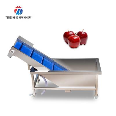 China High efficiency easy operate multifunctional vegetable and fruit lift machine citrus transporting machine food processor TS-T30 for sale