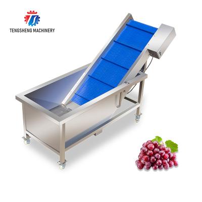 China High Efficiency Easy Operate Automatic Stainless Steel Vegetable And Fruit Lift Customized Food Processing Machine TS-T30 for sale