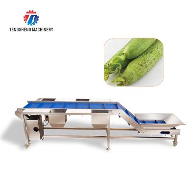 China High Efficiency Easy Operate Industrial Automatic Leafy Vegetable Machine And Fruit Sorting Table Lifting Food Processor for sale