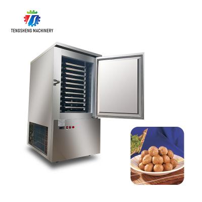 China Commercial Air Cooled Restaurants Deep Freezer Refrigerator Dough Cake Freezer TS-C300L for sale