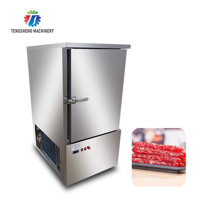 China Restaurants Commercial Refrigerator Freezer Cooked Commercial Insert Dish Buns Refrigerator Air Cooled Steam Freezing for sale