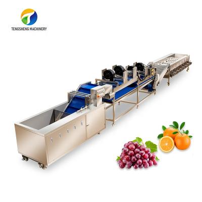 China food & Hygienic Beverage Plant Food Processing Machinery Vegetable Cleaning Production Line Equipment for sale