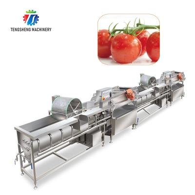 China High Efficiency Double Current Vortex Vegetable And Fruit Bubble Washing Production Line for sale