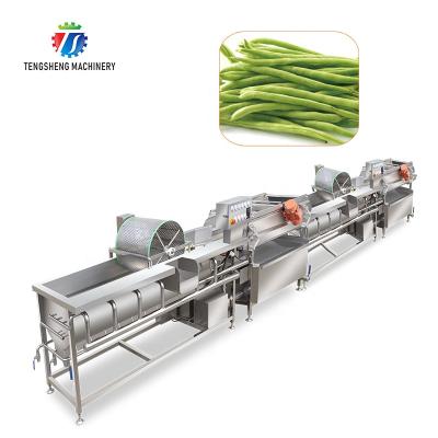 China High Efficiency Double Current Dry Vortex Vegetable And Fruit Bubble Wash Vibration Machine Production Line for sale