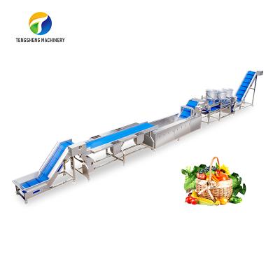 China food & Beverage Factory Automatic Vegetable and Fruit Washing and Drying Production Line Food Processor Picking Machine for sale