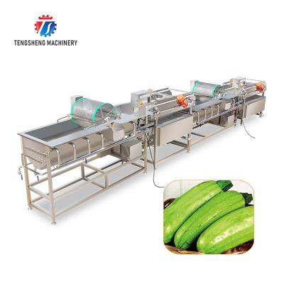 China Industrial high efficiency vortex bubble vegetable and fruit cleaning production line double food processing machine for sale