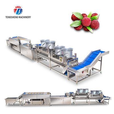 China food & Automatic Beverage Factory Stainless Steel Fruit And Vegetable Brush Bubble Cleaner Drying Production Line for sale