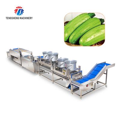 China food & Automatic Beverage Factory Stainless Steel Fruit And Vegetable Brush Bubble Clean Air Drying Production Line for sale