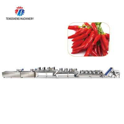 China High Efficiency Tomato Potato Vegetable And Fruit Washing And Drying Cutting Production Line for sale