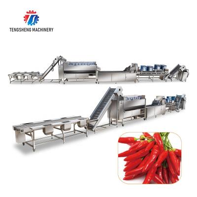 China Easy Operation Multifunctional Vegetable Fruits Sweet Potatoes Picking Hair Roller Bubble Cutting Machine Washing Drying Production Line for sale