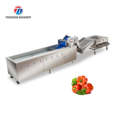 China High Efficiency Lettuces Carrot Fruit Vegetable Seal Vibration Cleaning Salad Making Vortex Washing Machine for sale