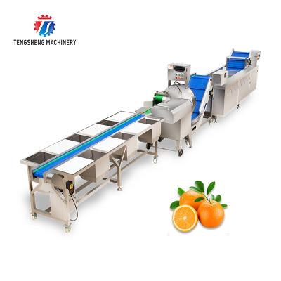 China Automatic Cutting and Washing Production Line High Efficiency Fruit and Vegetable Selection Household Robot for sale