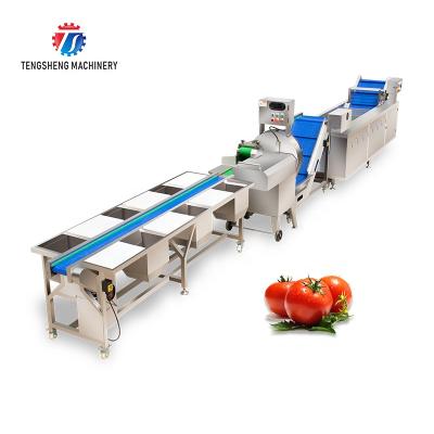 China High Efficiency Automatic Vegetable And Fruit Selection Cutting And Household Robot Washing Machine Production Line for sale