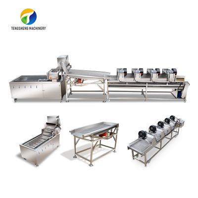 China Easy Operation Industrial Fruits And Vegetables Bubble Cleaning Vibration Drying Production Line Customized for sale