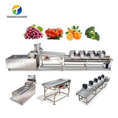 China Multifunctional Easy Operation Tomato Bubble Washing Vibration Air Drying Vegetable Production Line for sale